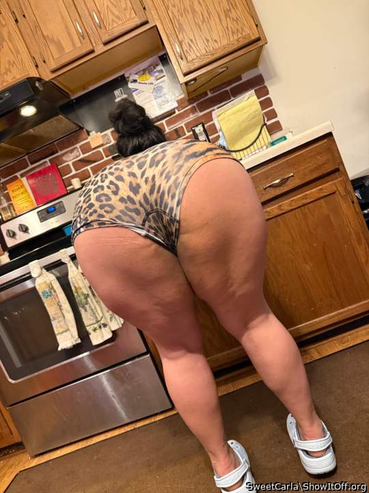 Photo of a cavalier from SweetCarla