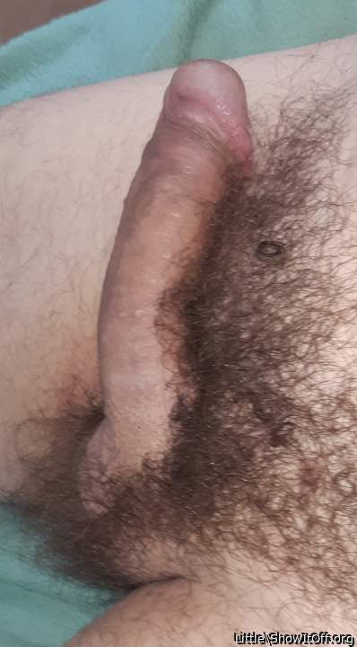 Photo of a wiener from Little