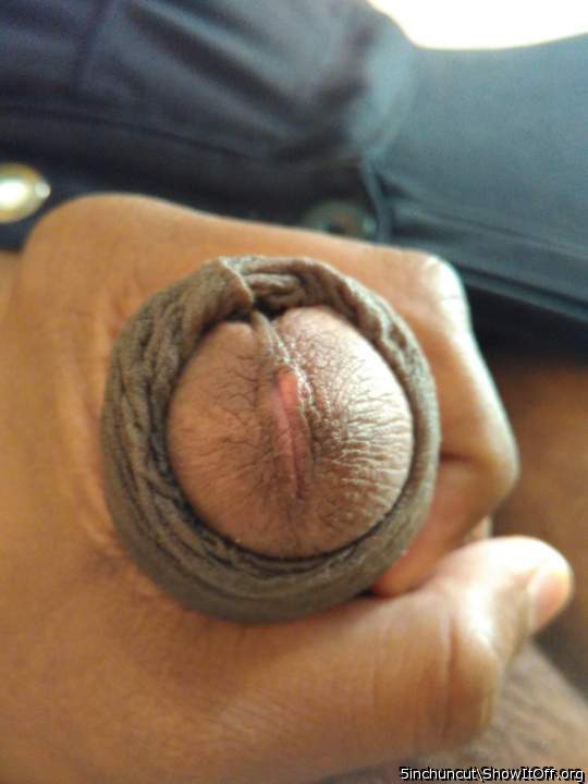Gorgeous cock I would suck it and swallow all your cum.     