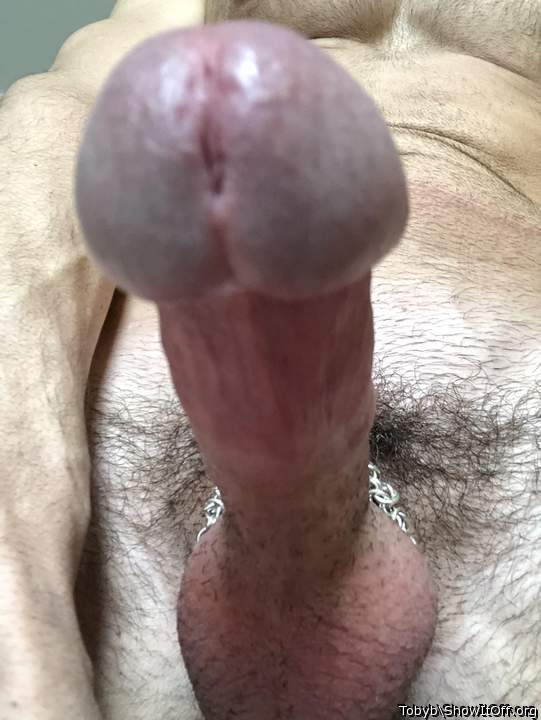  That is an eyeful of cock!  