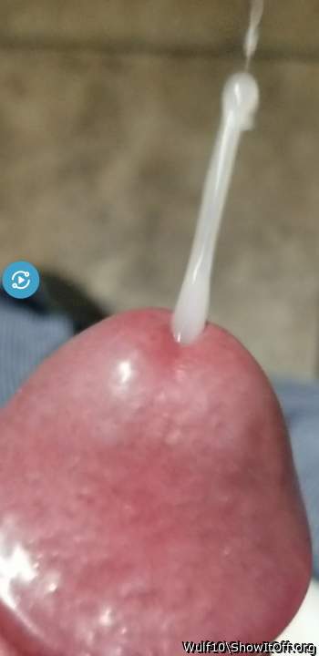Photo of a boner from Wulf10