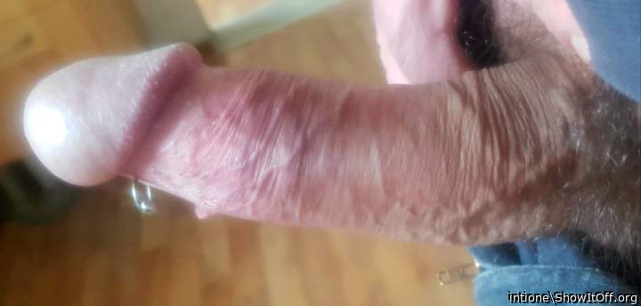 Photo of a snake from intione