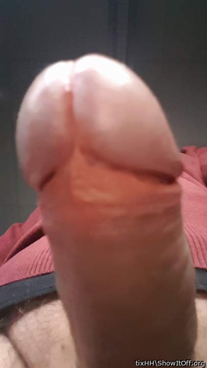 Photo of a middle leg from tixHH