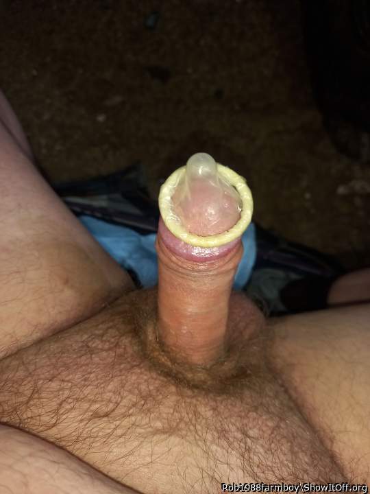 Photo of a weasel from Rob1988farmboy