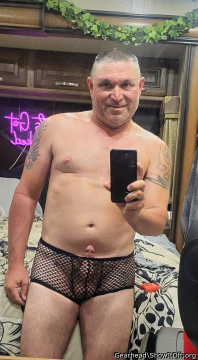 Photo of a bald-headed mouse from Gearhead