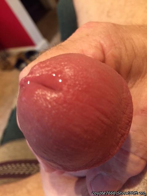 Nice cock and precum, so thick