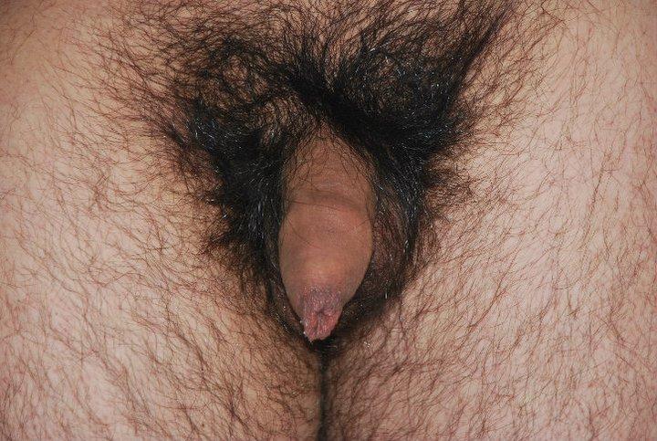Photo of a prick from chilenito_thno