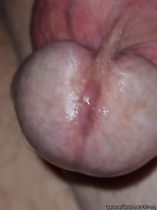Photo of a pecker from Badener68