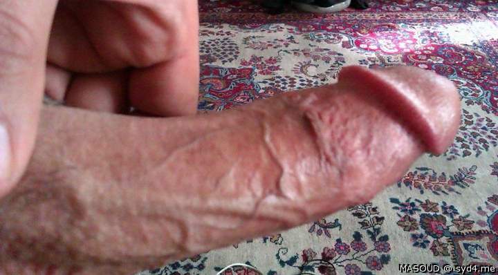 Photo of a wiener from Masoud