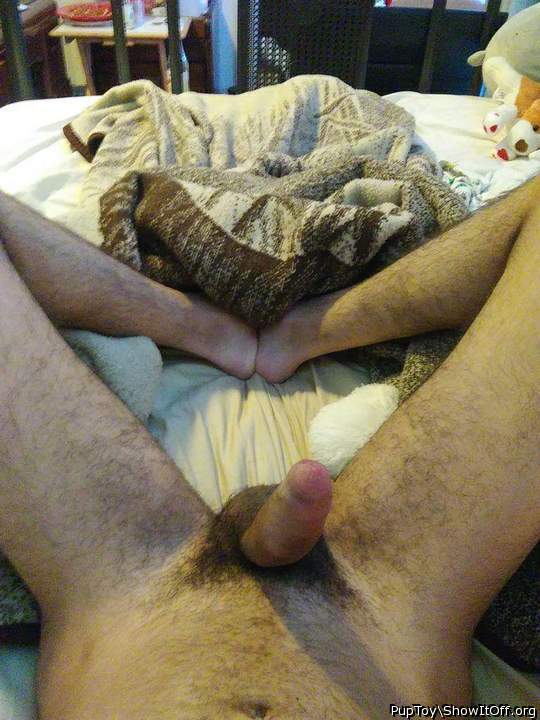 Photo of a drain pipe from PupToy