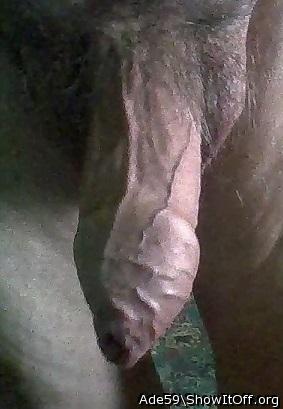 Want to eat you !  