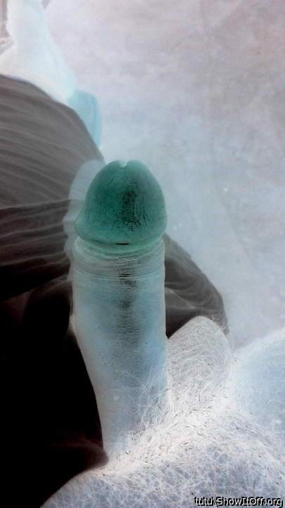 Photo of a horn from tutu