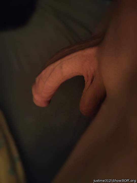 Photo of a python from justme312