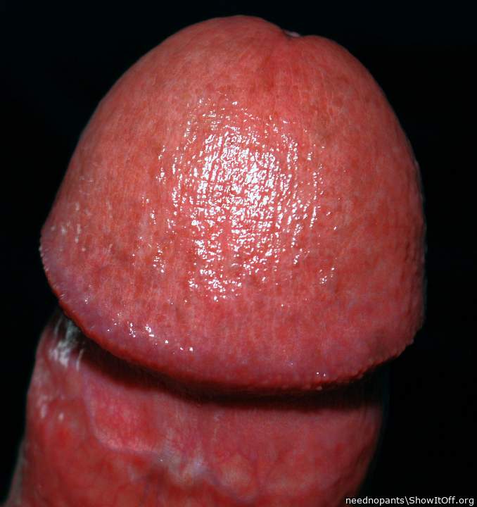 Photo of a tool from neednopants