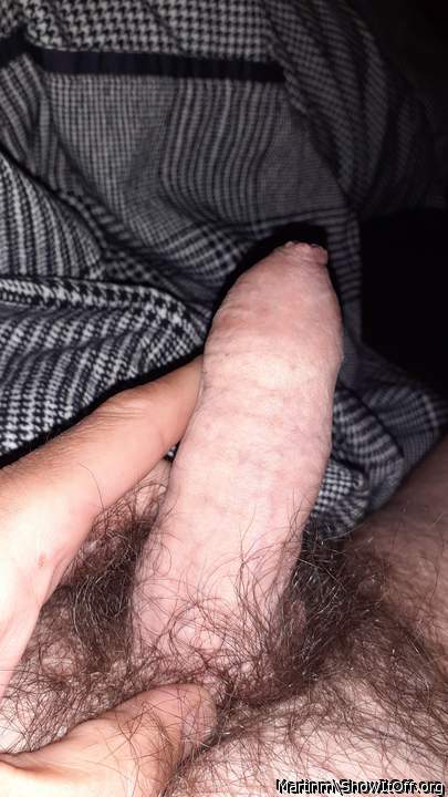 Photo of a horn from Martinm