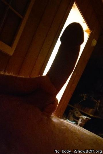 Photo of a snake from No_body_