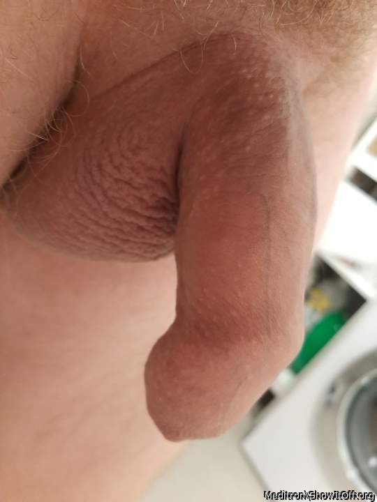 Soft - foreskin covered