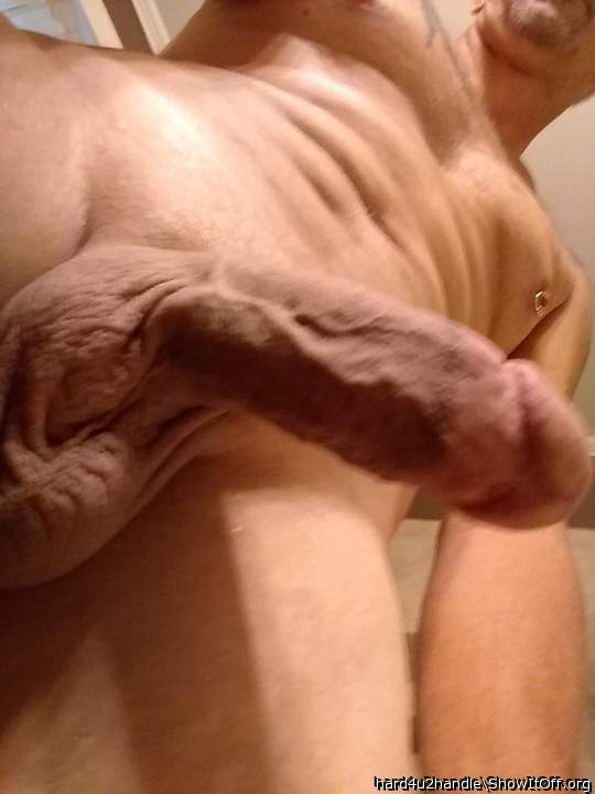  What a Perfect Dick, mate