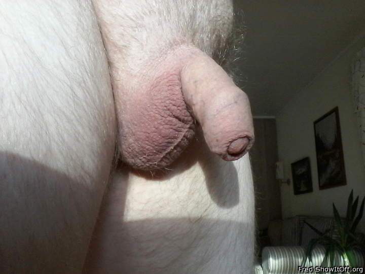 Photo of a phallus from Fred