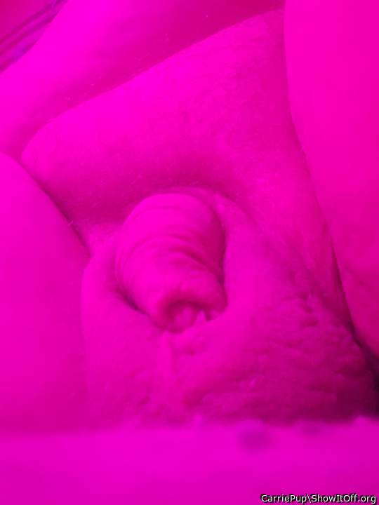 Testicles Photo from CarriePup