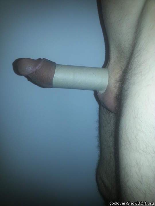 Toilet Roll Paper 2
