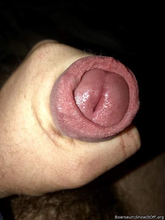 Photo of a sausage from Boerseun