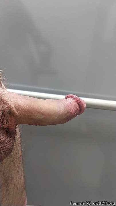 Photo of a phallus from Hammer