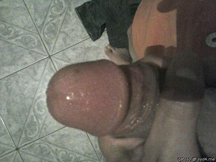 Photo of a ram rod from gatoso