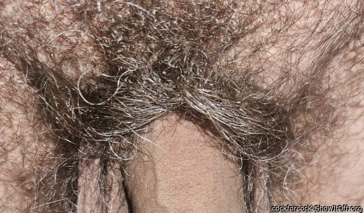 Should I shave?