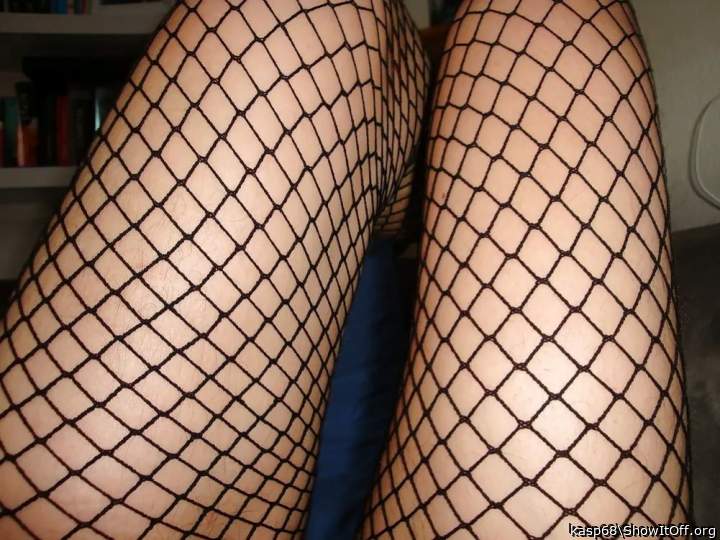 Legs in net