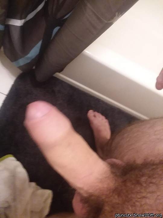 Photo of a snake from ptuncutx