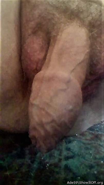 Photo of a snake from Ade59