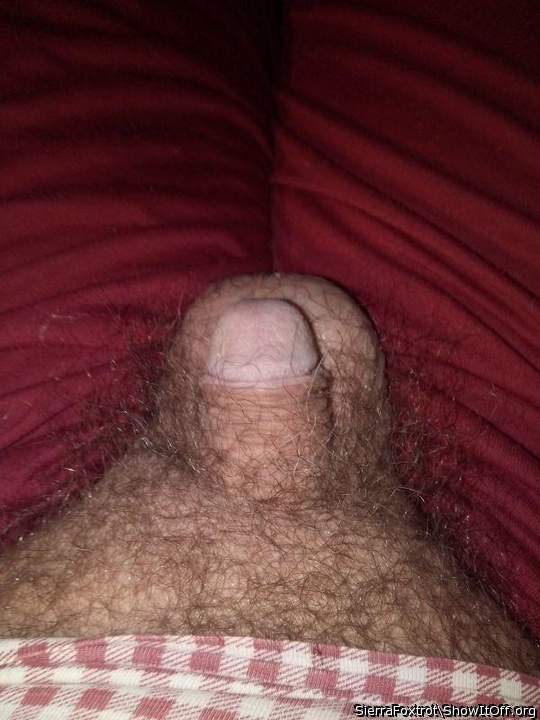 Photo of a love stick from SierraFoxtrot