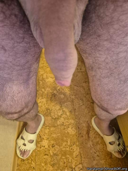 Photo of a middle leg from Haralampi