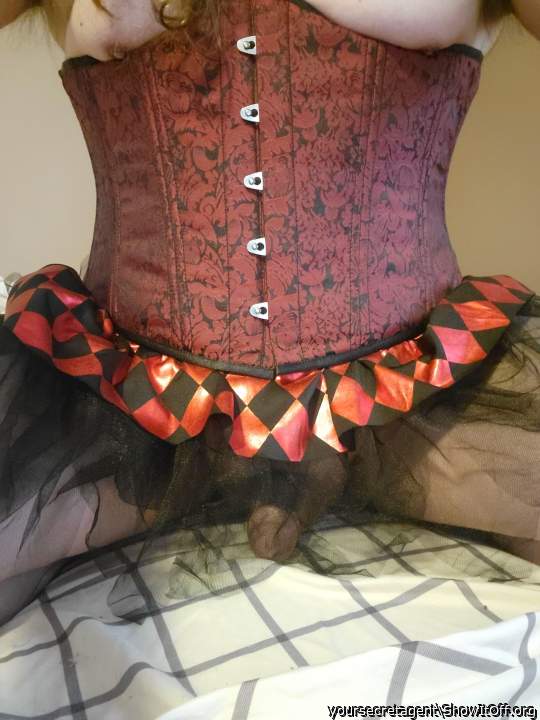Photo of a cavalier from yoursecretagent