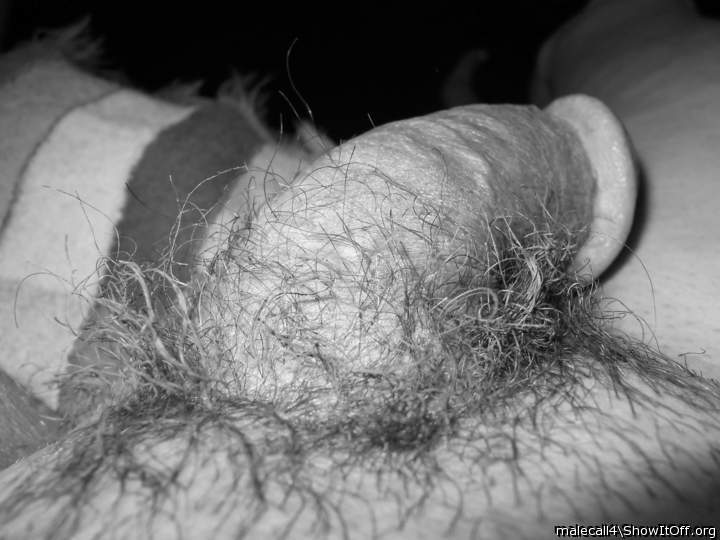 Photo of a dick from malecall4