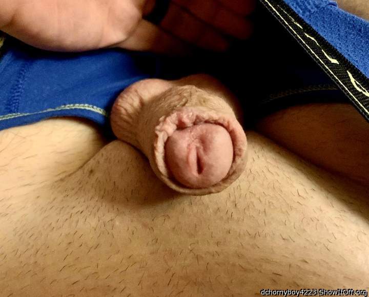 Photo of a penis from dchornyboy4223