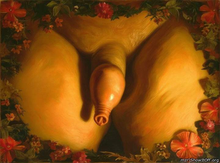 Photo of a python from mzr