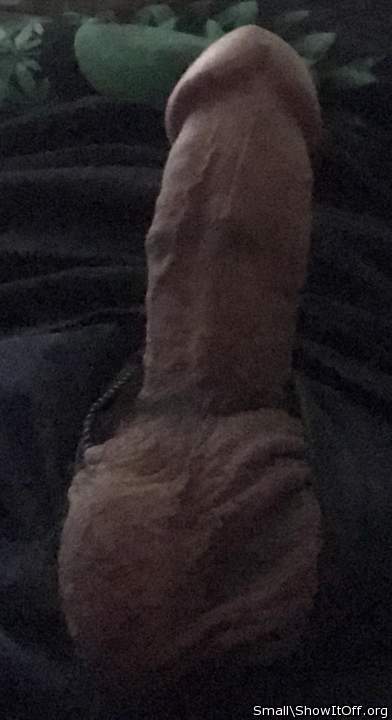 Photo of a pocket rocket from Small