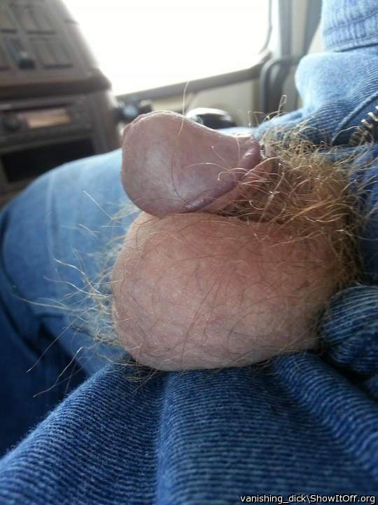 Photo of a weasel from vanishing_Dick