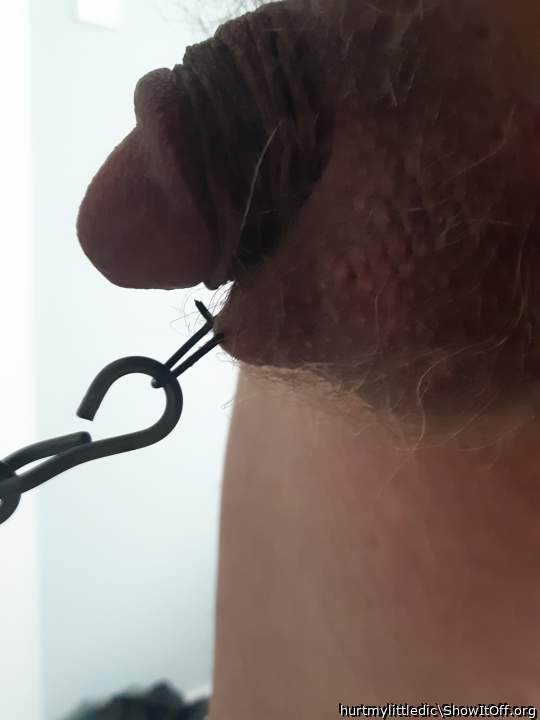 Finally got a piercing to stay.  Gonna be fun