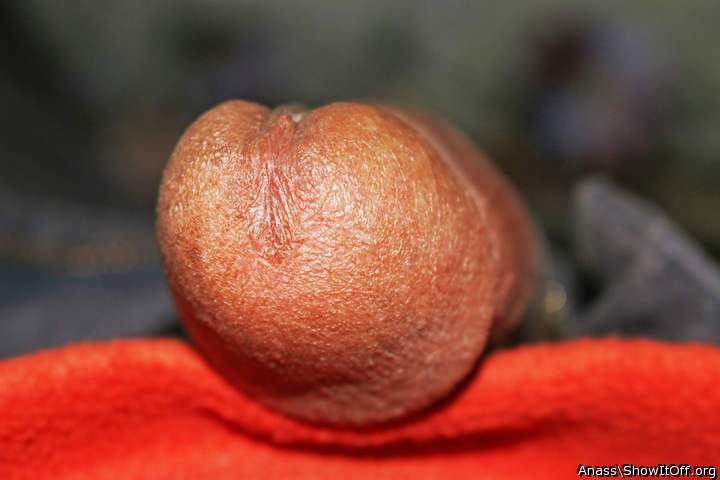 nice cock head 