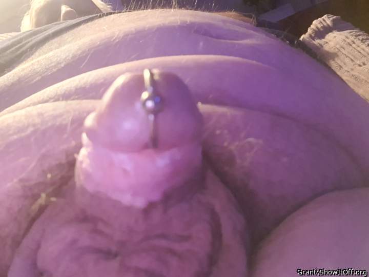 Photo of a hot dog from Grant