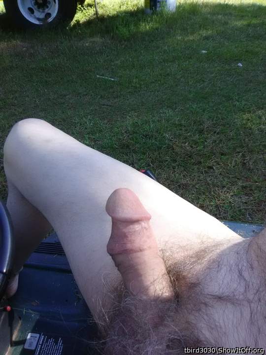 Great hairy penis