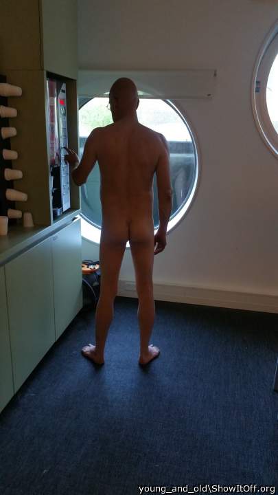 Photo of a weasel from young_and_old