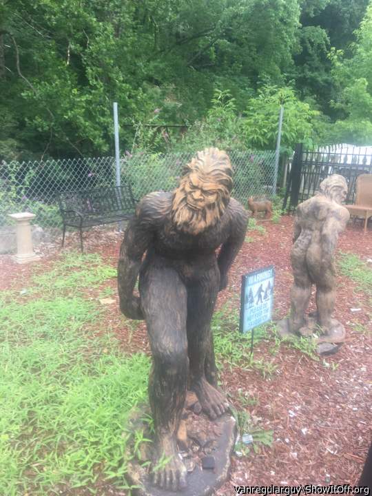 Imprisoned Sasquatch