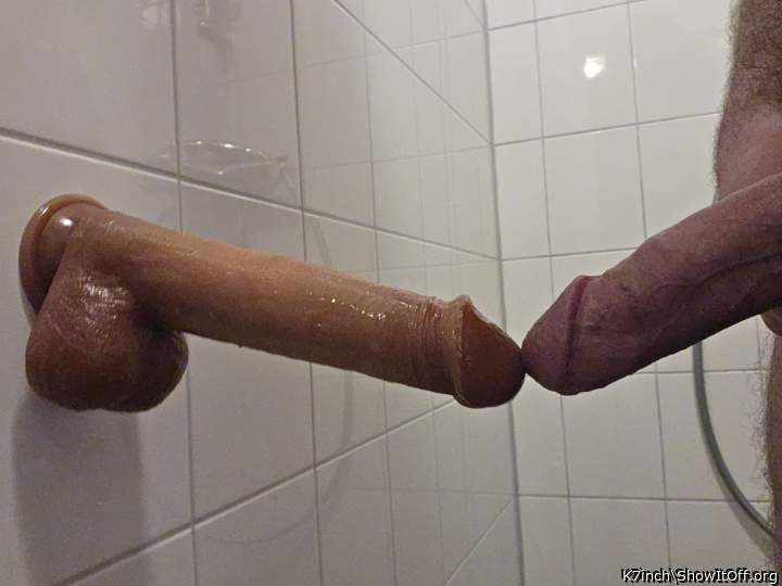 Photo of a cavalier from K7inch