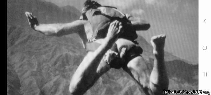 Photo of a lizard from TNT-48-8