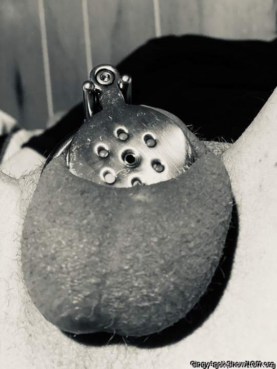 Photo of a thing from Gingy4got