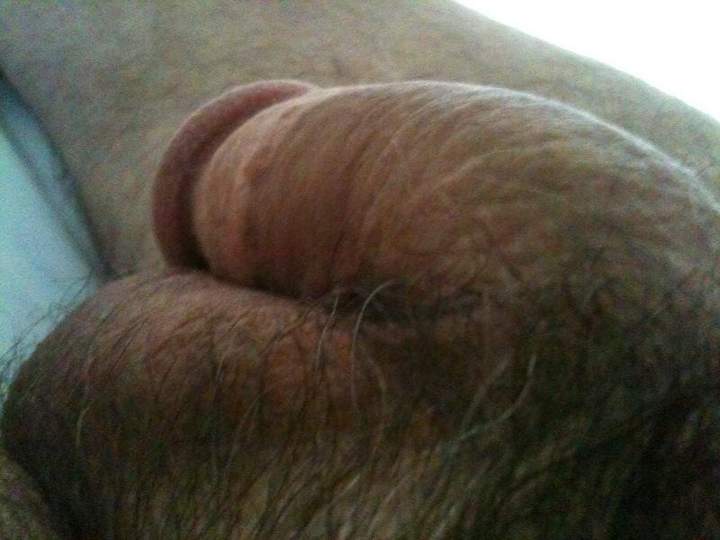 Photo of a love stick from bdguy